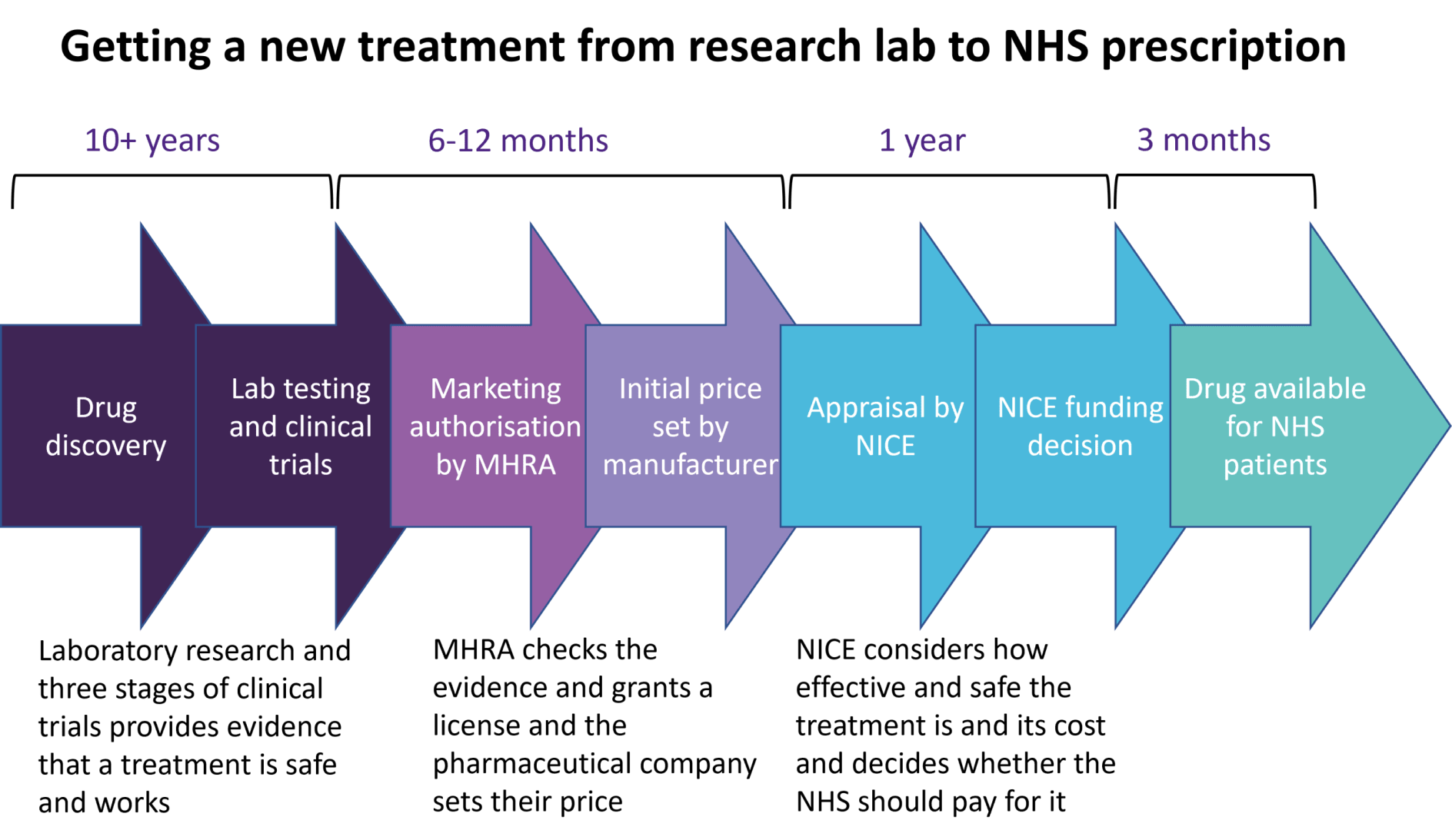 Timeline of stages in drug approval process (England)
