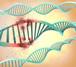 Dystrophic EB Damaged DNA