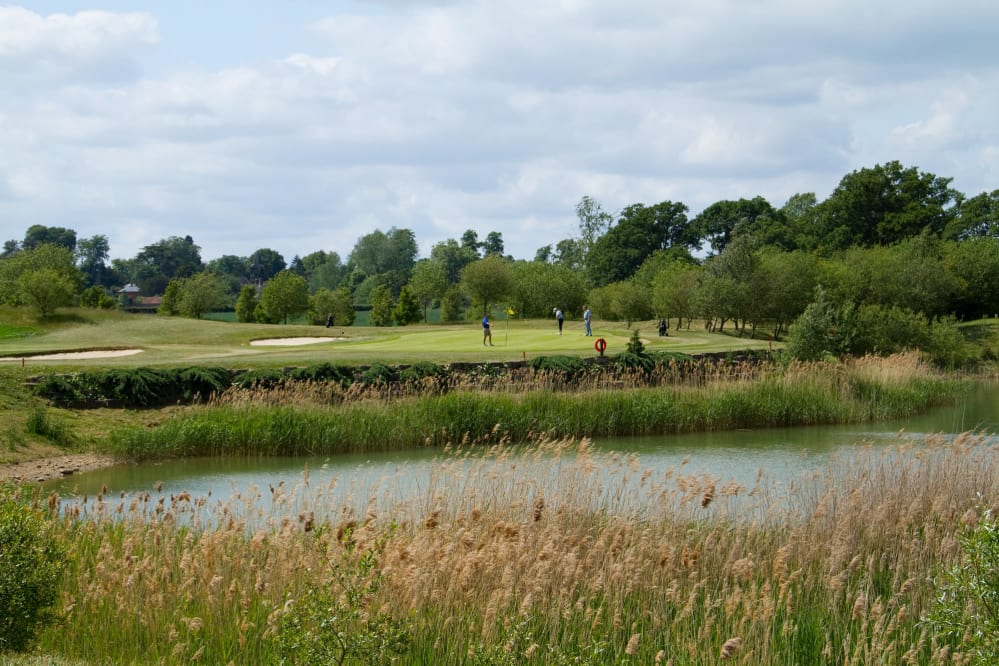Clandon Regis Golf Club - hole 14