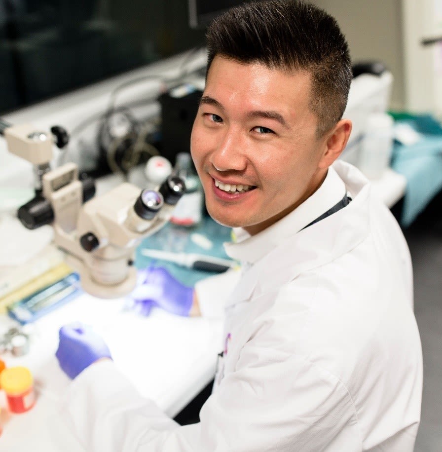 EB researcher, Dr Gink Yang working in a lab with a microscope