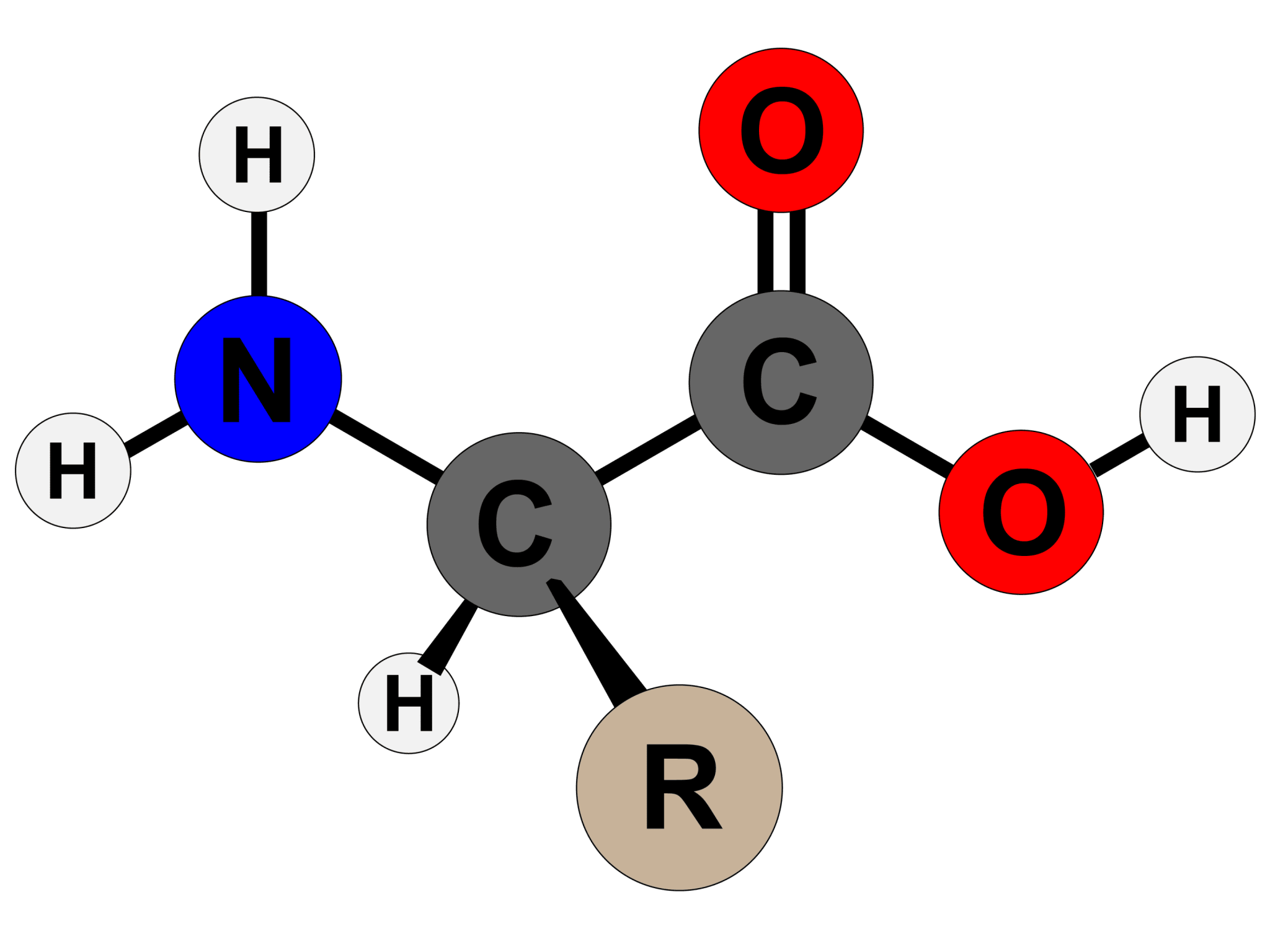 Amino acid structure diagram