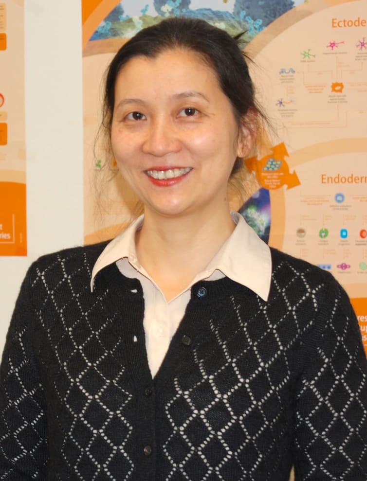 Portrait photo of Dr Liao
