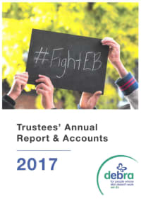 Cover of the Annual Report 2017