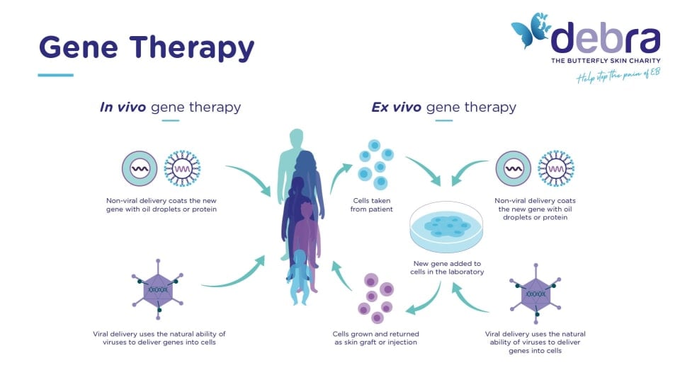 graphic description of in vivo and ex vivo gene therapy