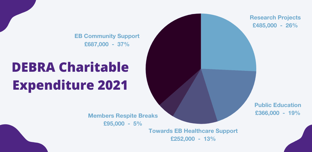 Charitable expenditure 2021 pie chart