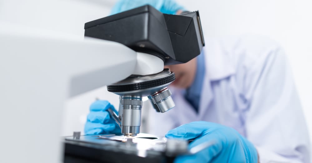 A researcher working with a microscope