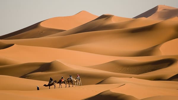 Sahara Trek 2023